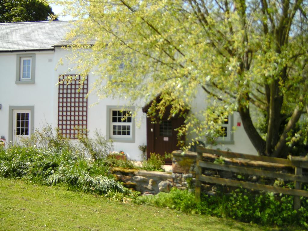 Wallace Lane Farm Westward Exterior photo